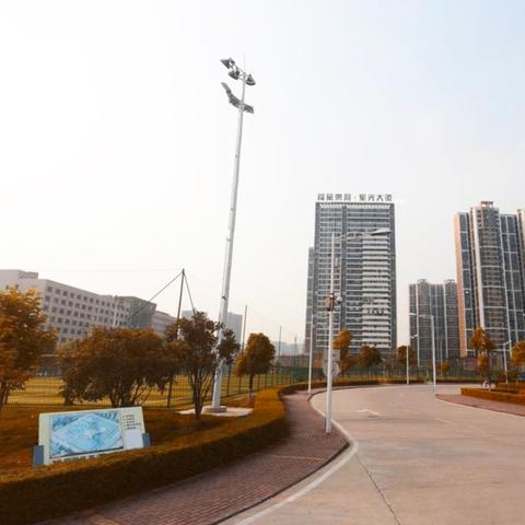 武汉市各区面积排名？