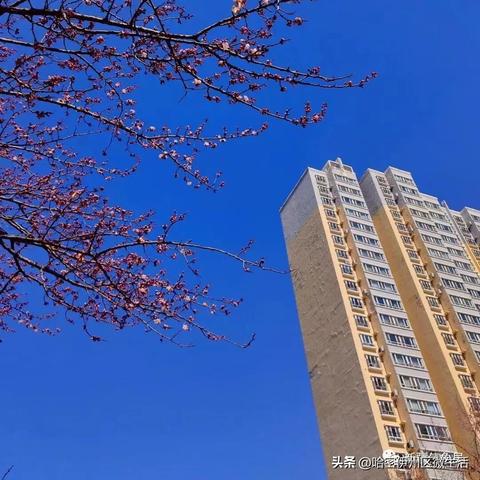 正常乌鲁木齐八月气温的长尾关键词有什么