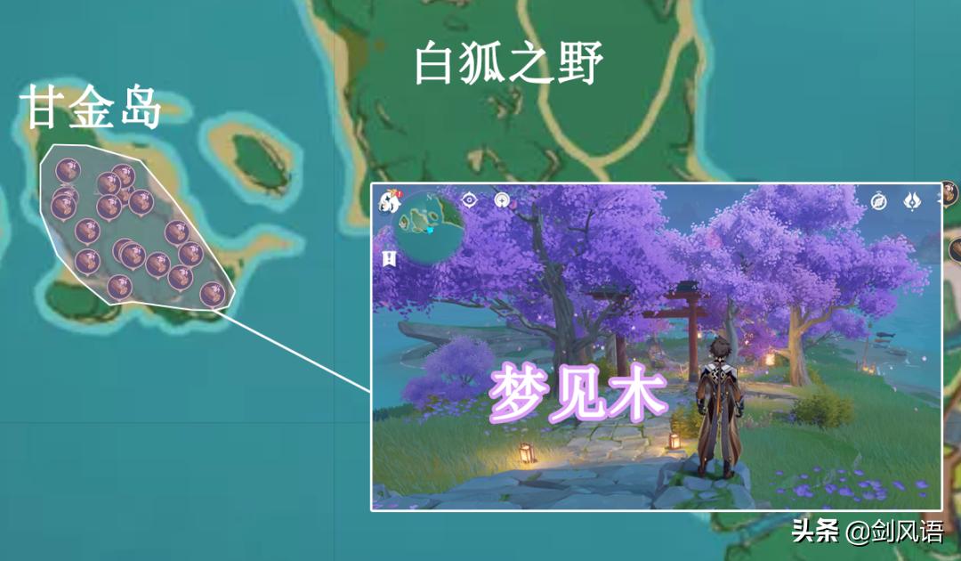 原神甘金岛照片怎么拍（原神雷神天赋秘境怎么解锁）