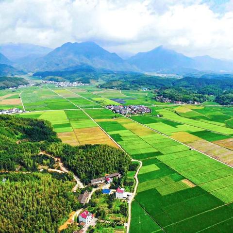 福建省面积最大的耕地类型？