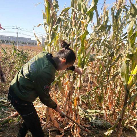 河南90岁老教师怎么样