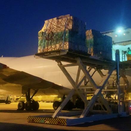 飞机跨境中转流程的相关长尾关键词有哪些