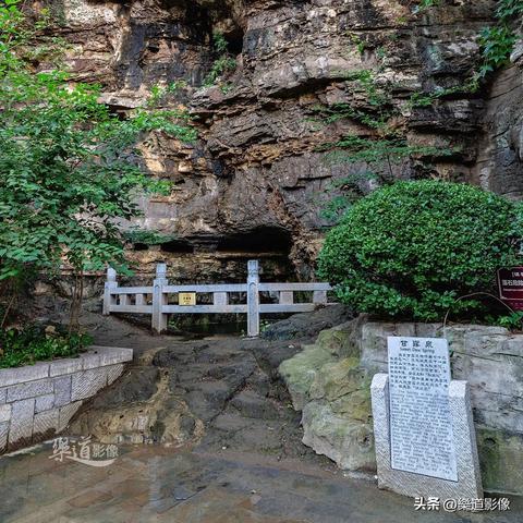 济南市有海棠树的小区叫什么