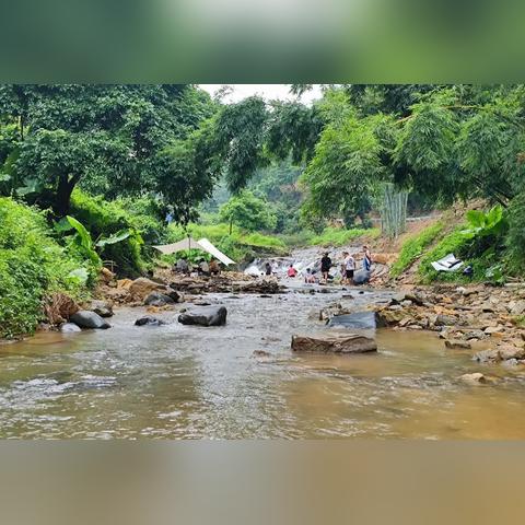 广州市的人口是多少人口