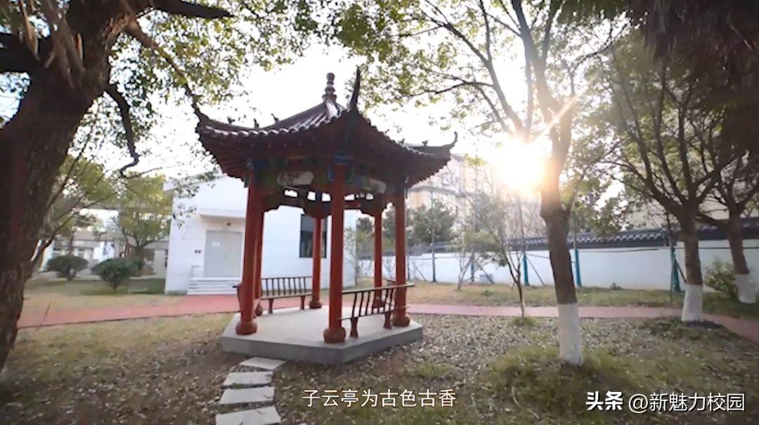 父母都姓王虎宝宝怎么起名(姓刘的祖先是哪个地方的)