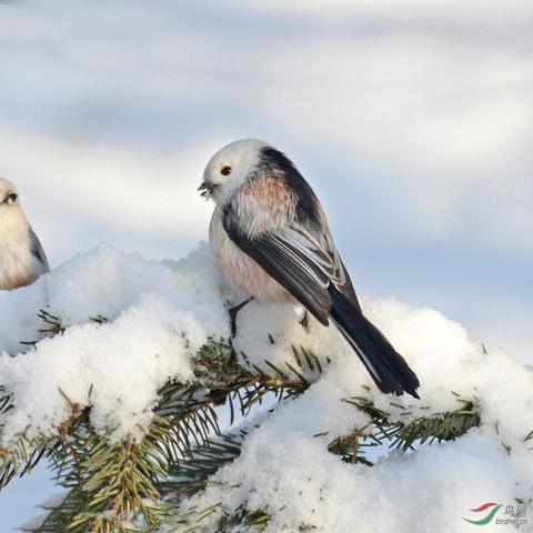 小不点广州相关长尾关键词有哪些