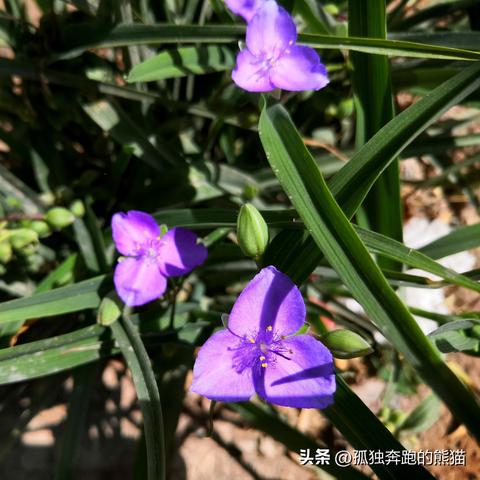 古城西安环线相关长尾关键词有哪些