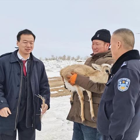 和鹅做什么感觉的长尾关键词是什么