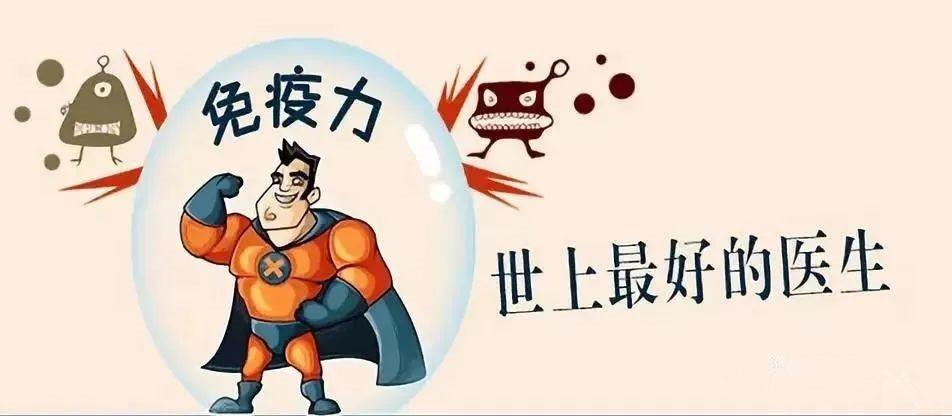 张文宏吃什么美食（你上半年有什么小目标吗）