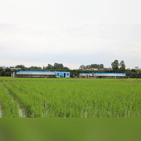 上海耐优生物怎么样？