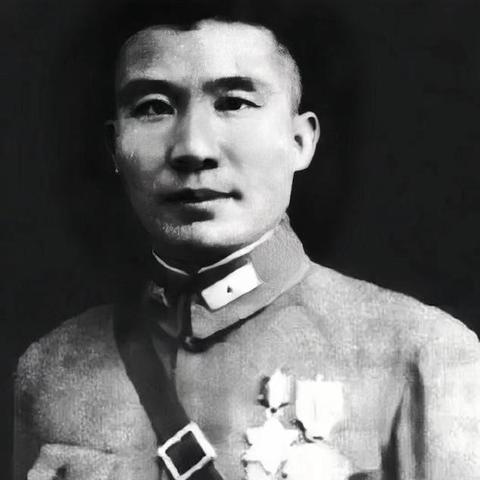 济南战役取得了哪些战绩？