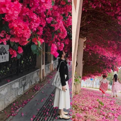 南宁休闲露营酒店的相关长尾关键词有哪些