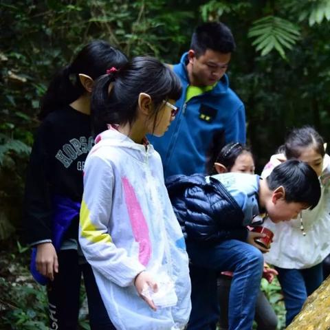 迷迷世界（迷迷世界的奇幻之旅）