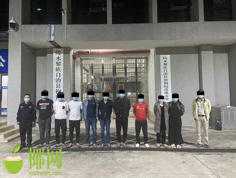 姓董的牛宝宝怎么起名(对格力未来会有什么影响)