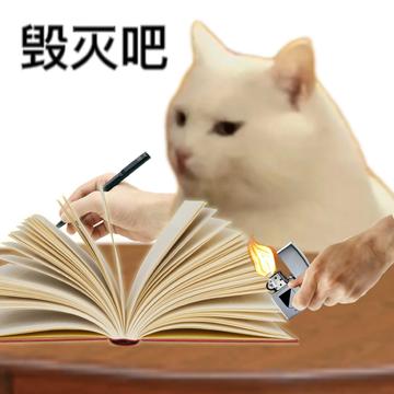 看不我大爽，极度不爽表情包