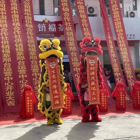 济南市和邢台市哪个好
