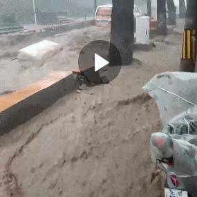 保定市女子学校学费多少