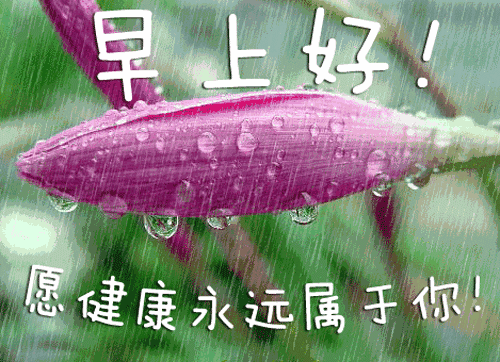 2020春分节气早安问候语