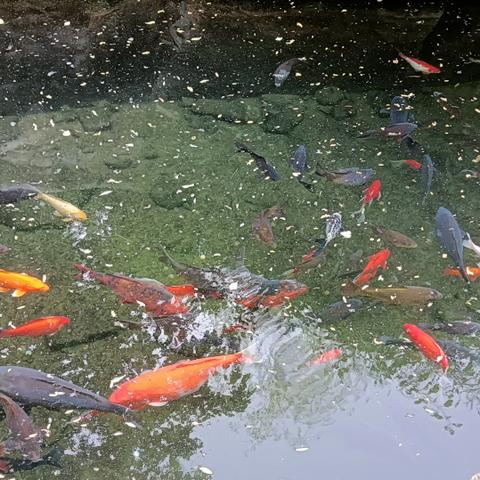 济南的冬天教后记相关长尾关键词有哪些