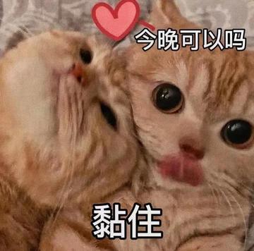 情侣激情爱抚爱情gif动图
