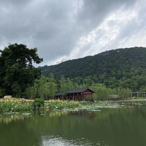 青秀山南宁美食的相关长尾关键词有哪些