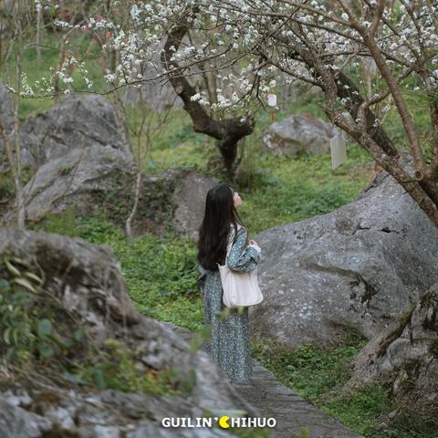 桂林人才网怎样更改信息相关长尾关键词有哪些