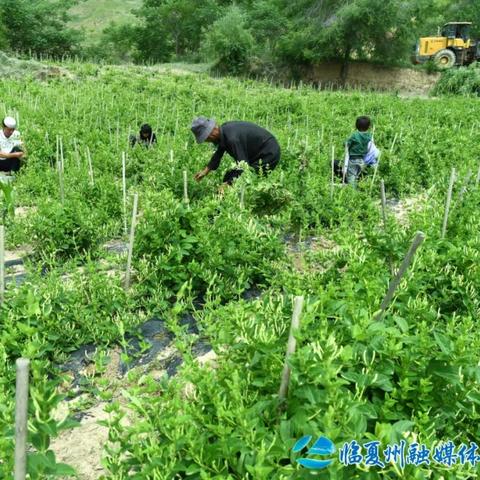 中考桂林全州考生考点相关长尾关键词有哪些