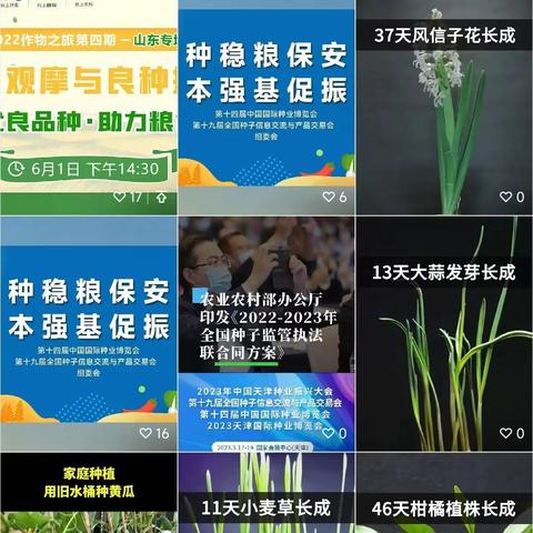 抖音国际版视频种子