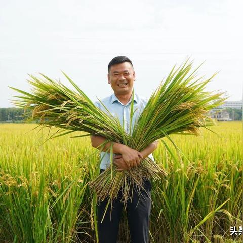【常熟未来7天天气预报】常熟未来一周天气情况