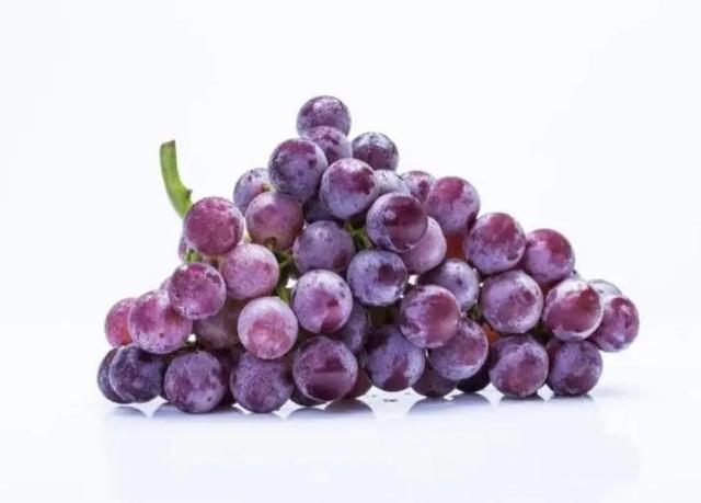 有催乳作用的八种食物 有催乳作用的八种食物