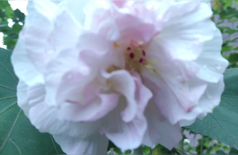 小米服原神怎么登录不了(小米原神和官服渠道互通么)