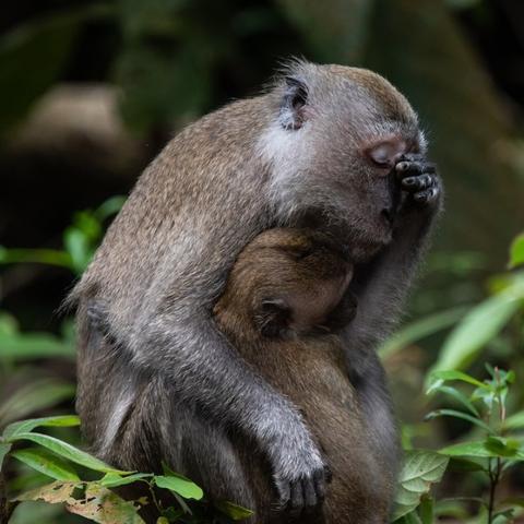 欢乐喜剧人 电影的长尾关键词是什么
