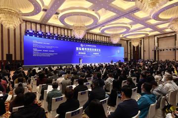 武汉市会展行业怎么样