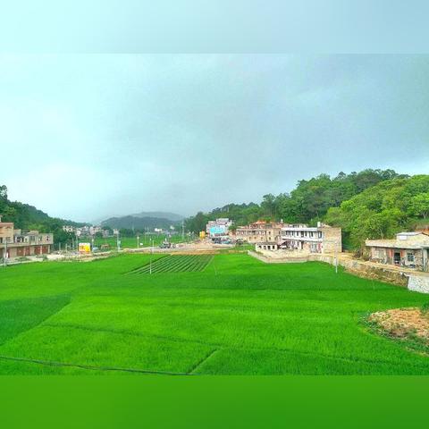 河南广西哪个更发达