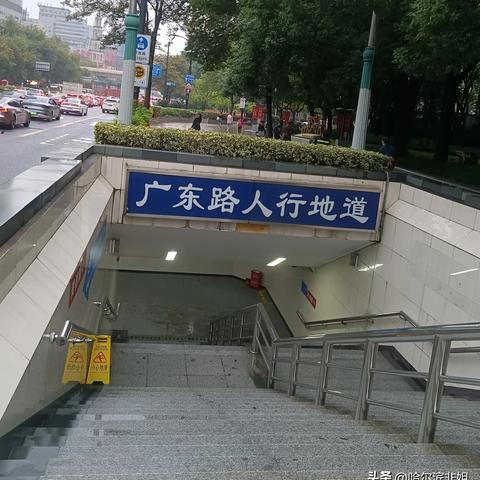 【哈尔滨今日穿衣指南】2025年4月12日哈尔滨穿衣指南有哪些