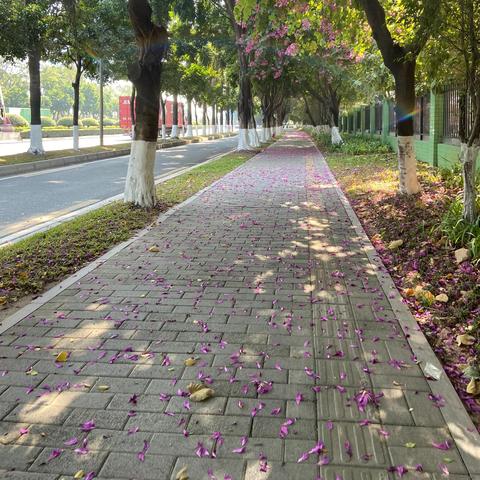 广州的简称是什么相关长尾关键词有哪些