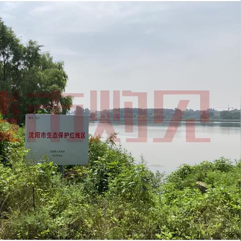 沈阳大东区时代公园占地面积？
