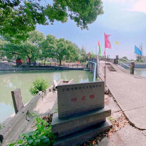 宁波市北渡村属于哪个镇