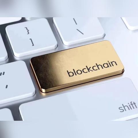 跨境电商大数据库有哪些