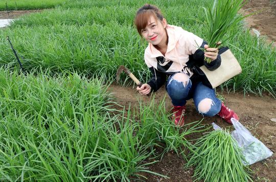 在抖音上为什么你总是被割韭菜，怎么才会不被割韭菜？