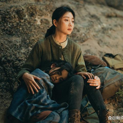 武汉猫咪领养吧的长尾关键词有哪些