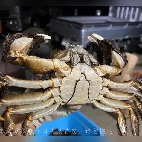 江苏苏州市常熟市地震的长尾关键词有什么