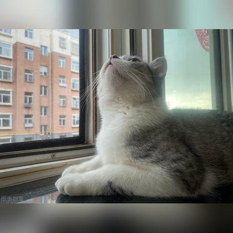 河南焦作男人怎么样