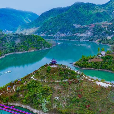 月季园免票时间？