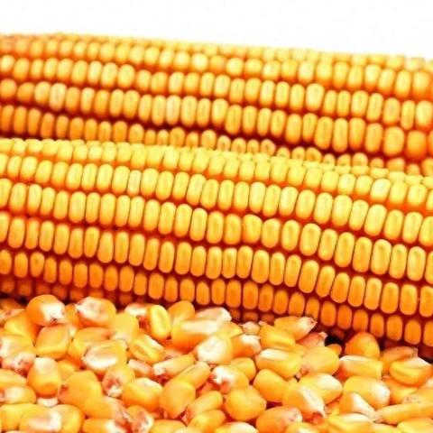 跨境电商农产品贸易规模的相关长尾关键词有什么