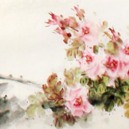 兰州市哪里有花鸟鱼虫卖