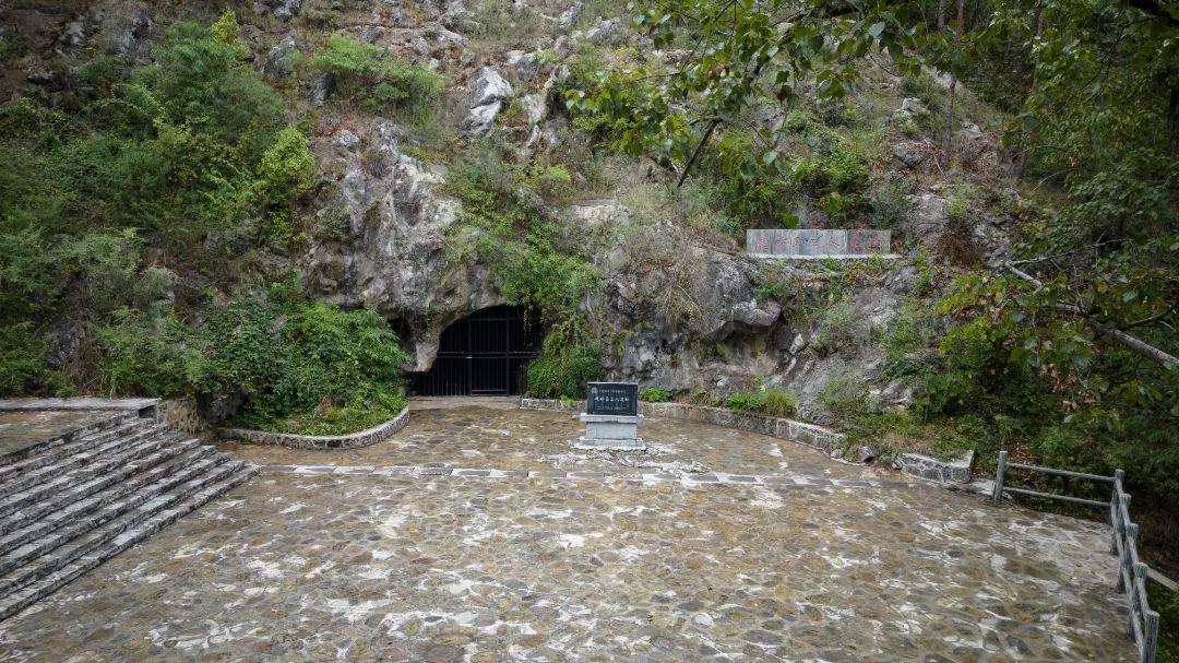 【湖北零新增
 /湖北0新增】