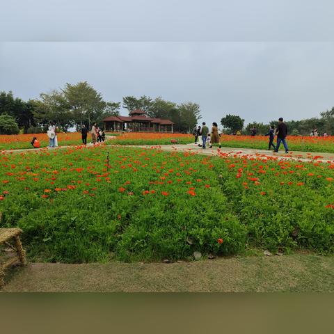 厦门一号园博苑的相关长尾关键词有哪些