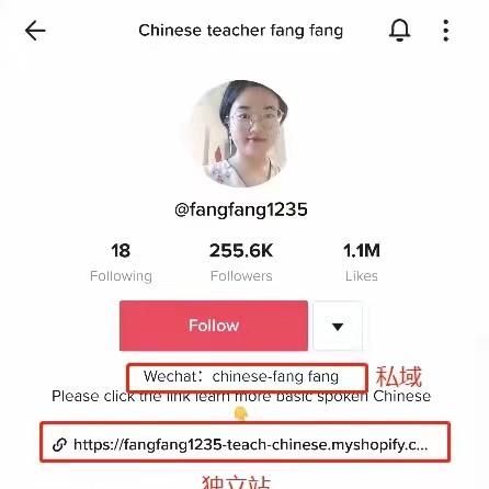 虾皮裁员tiktok的相关长尾关键词是那些