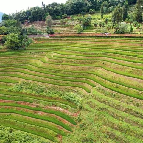 重庆品众装饰怎么样